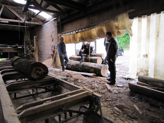 mosel2010_048.jpg