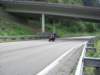 mosel2010_111_small.jpg