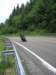 mosel2010_117_small.jpg