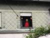 mosel2010_128_small.jpg